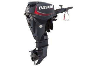 Buy 2018 Evinrude E-TEC 25 HP E25GTEL Outboard Motor
